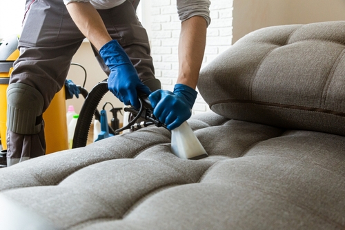 Man,cleaning,sofa,chemical,cleaning,with,professionally,extraction,method.,upholstered